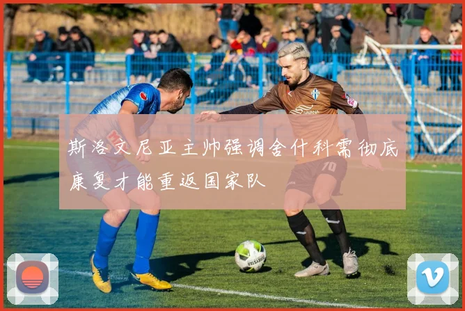 斯洛文尼亚主帅强调舍什科需彻底康复才能重返国家队